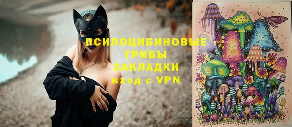 первитин Алексин