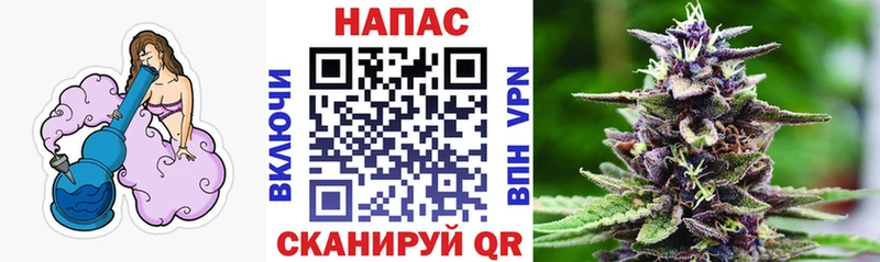 Шишки марихуана Amnesia  где продают   Долинск 